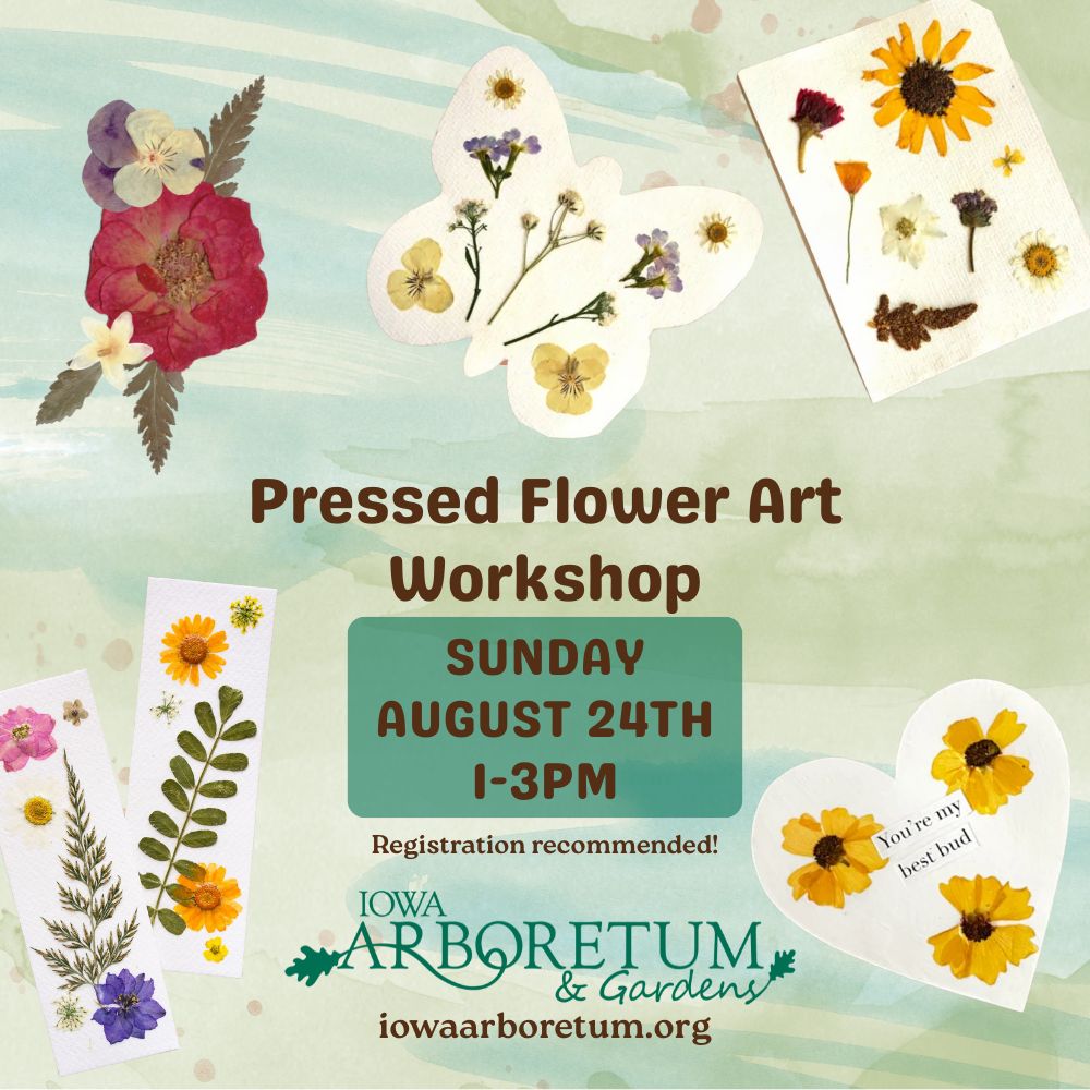 Pressed Flower Art Workshop Sunday August 24, 2025