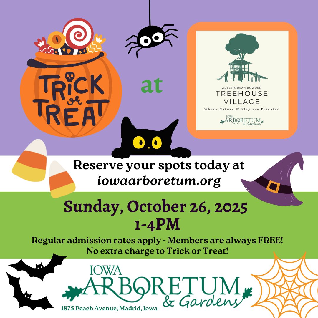Trick or Treat in Treehouse Village Sunday, October 26, 2025