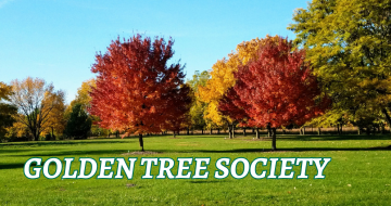 A grove of gold and red fall trees