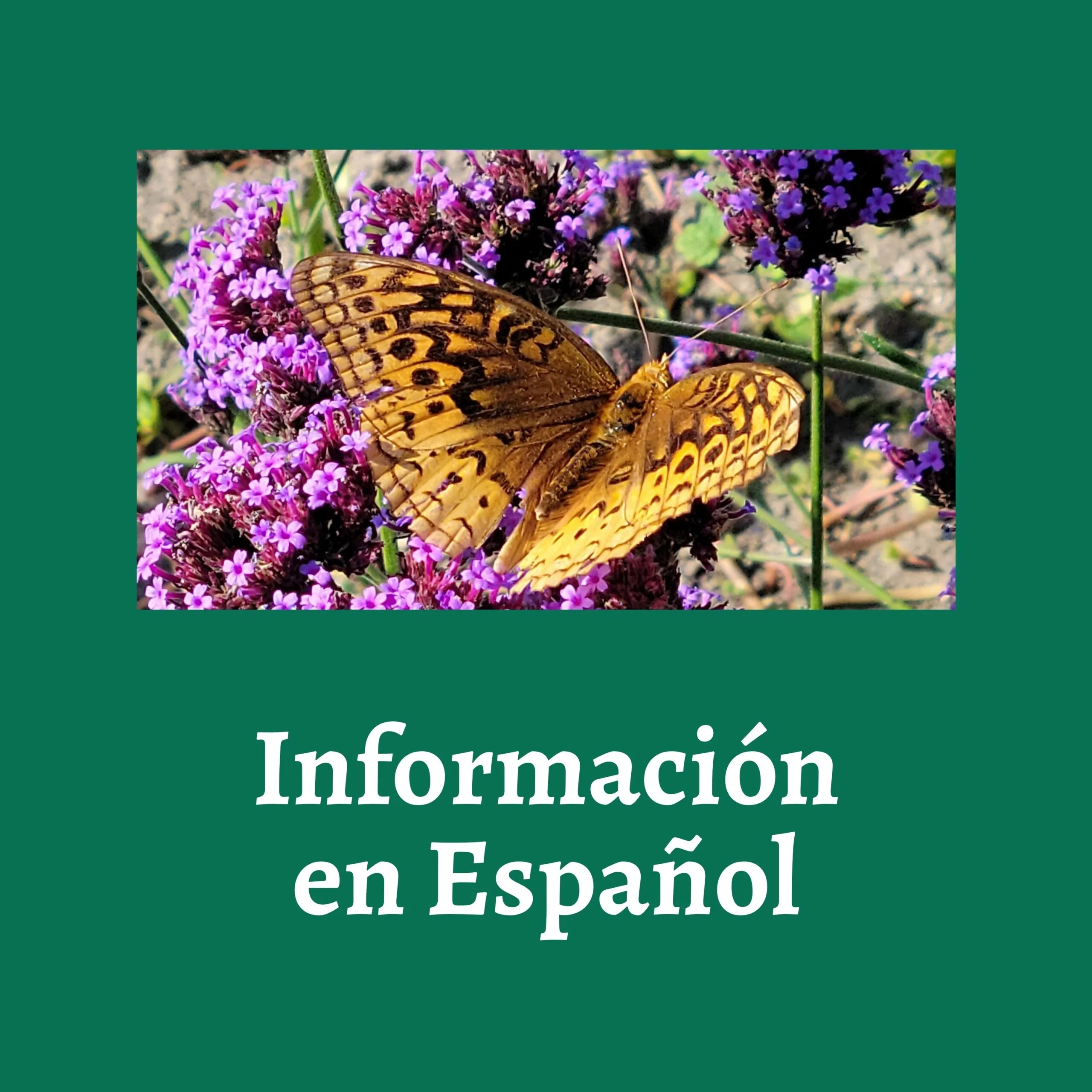 Informacion en Espanol